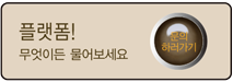 플랫폼! 무엇이든 물어보세요 - 문의 하러가기